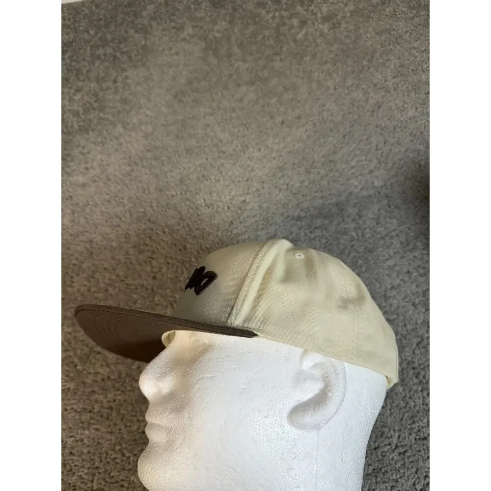 Dunkin hat cap